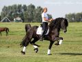 IMG_9526-Wybren-464