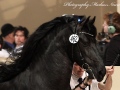 IMG_1255-Wytse-462