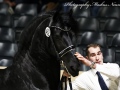 IMG_3551-Wytse-462