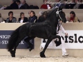 IMG_7563-Wytse-462