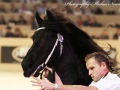 IMG_7599-Wytse-462