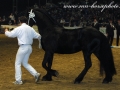 img_3017-ymte407